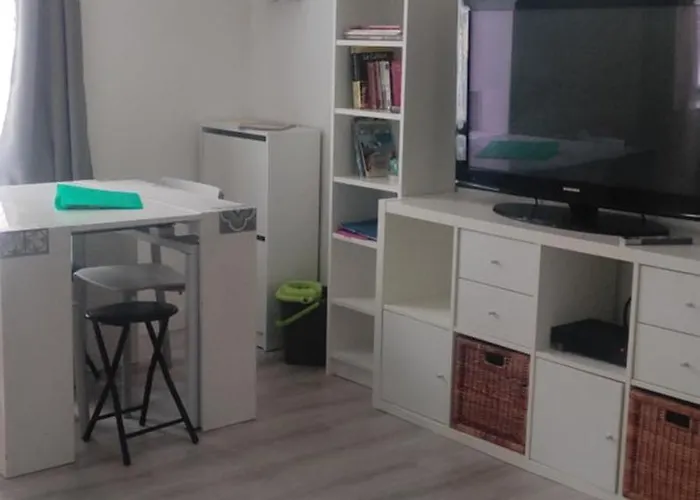 Superbe Appartement En Plein Centre Ville